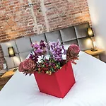 Cracowdays Aparthotel 4*